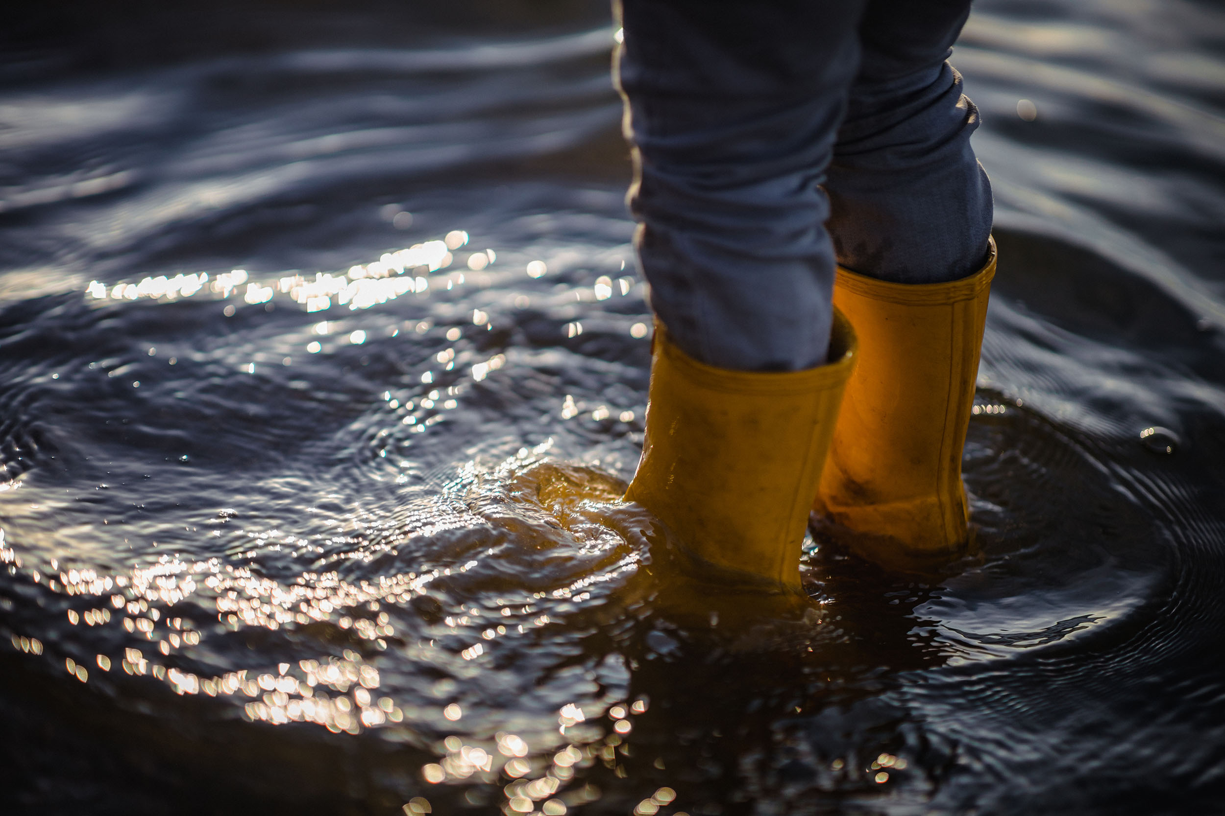 Water Damage Restoration