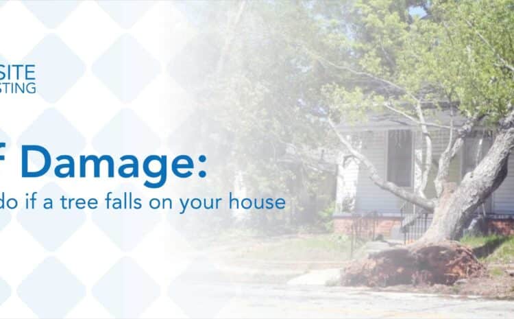  Roof Damage: What to Do if a Tree Falls on Your House