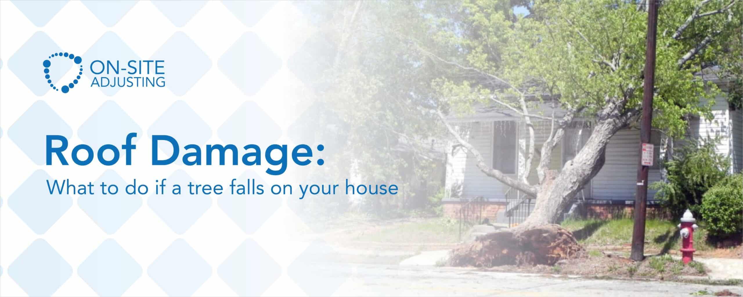 Roof Damage: What to Do if a Tree Falls on Your House